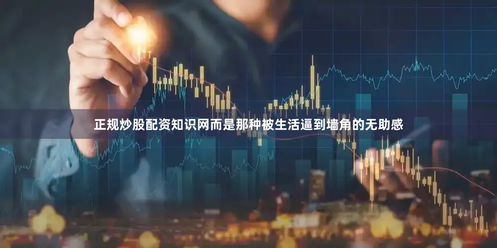 正规炒股配资知识网而是那种被生活逼到墙角的无助感