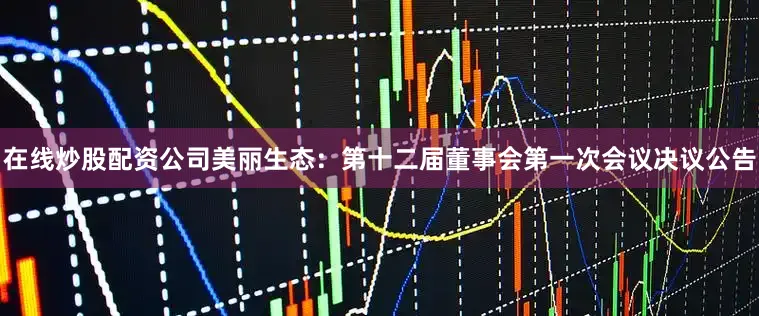 在线炒股配资公司美丽生态：第十二届董事会第一次会议决议公告