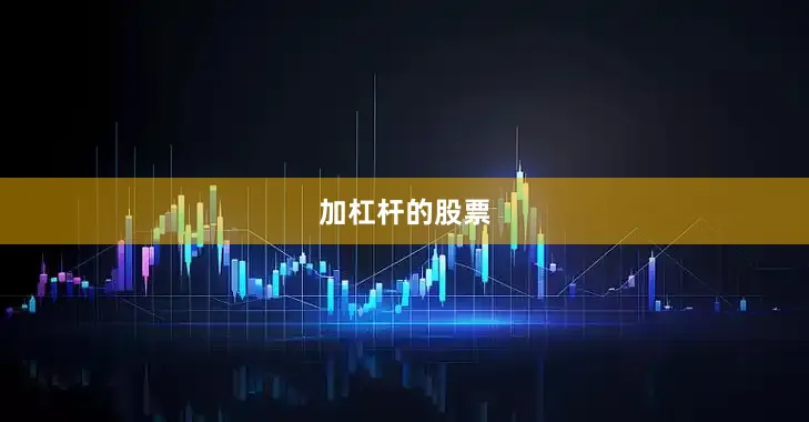 加杠杆的股票