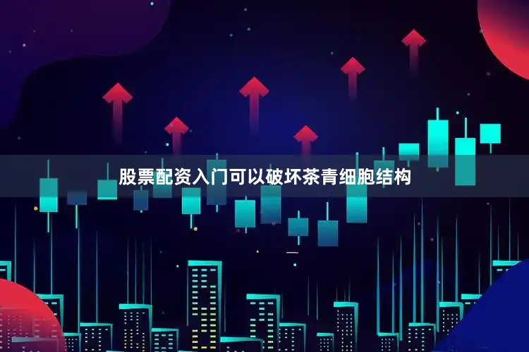 股票配资入门可以破坏茶青细胞结构