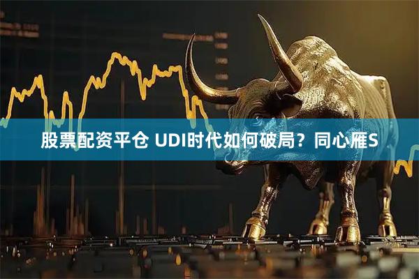 股票配资平仓 UDI时代如何破局？同心雁S
