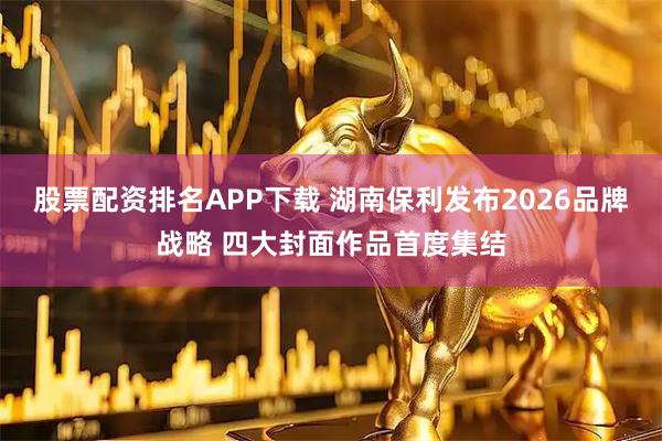 股票配资排名APP下载 湖南保利发布2026品牌战略 四大封面作品首度集结