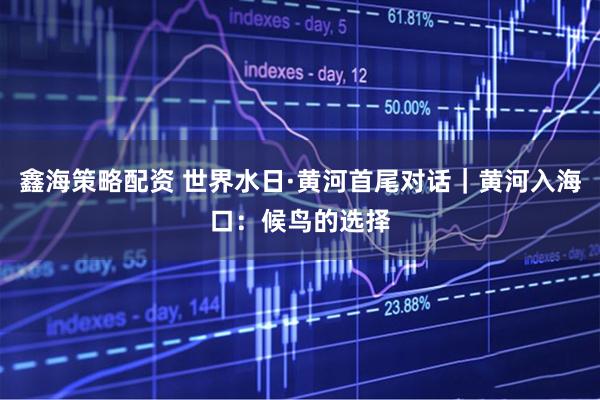 鑫海策略配资 世界水日·黄河首尾对话｜黄河入海口：候鸟的选择