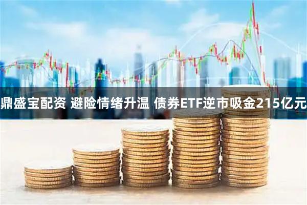 鼎盛宝配资 避险情绪升温 债券ETF逆市吸金215亿元