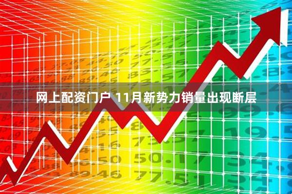 网上配资门户 11月新势力销量出现断层