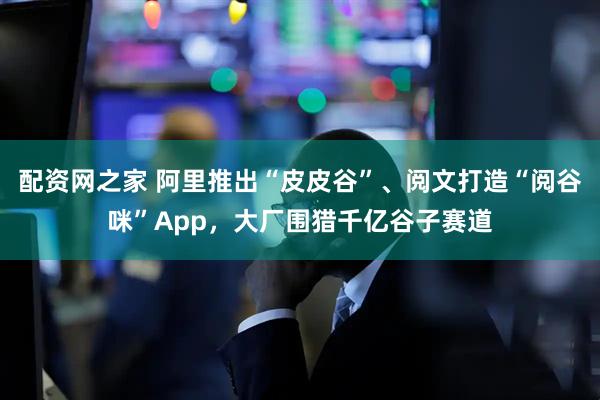 配资网之家 阿里推出“皮皮谷”、阅文打造“阅谷咪”App，大厂围猎千亿谷子赛道